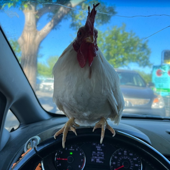 One Blue Crochet Headscarf Bandana - Picture 7 of 7